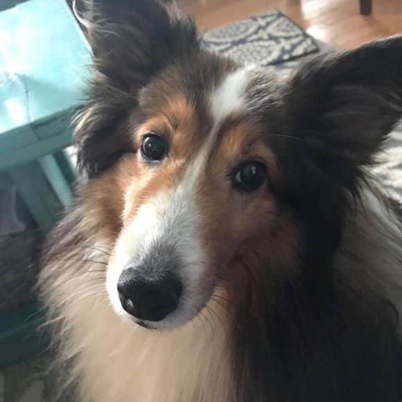 Meet your Posher, Kim - Picture 10 of 14